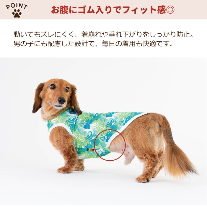 2504a 商品詳細説明2