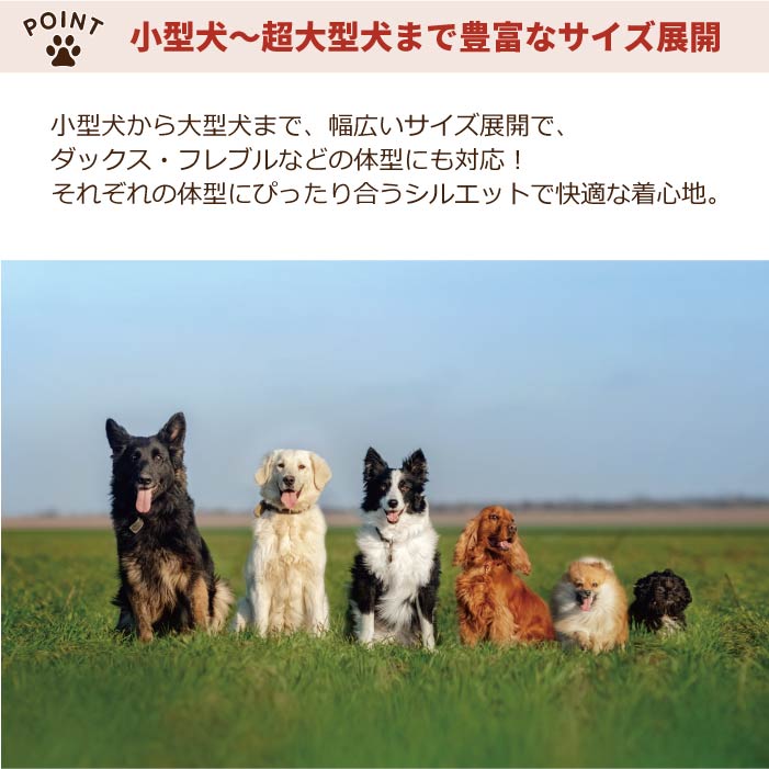 2504a 商品詳細説明6